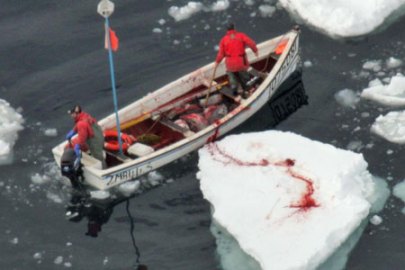 boat-by-bloody-ice